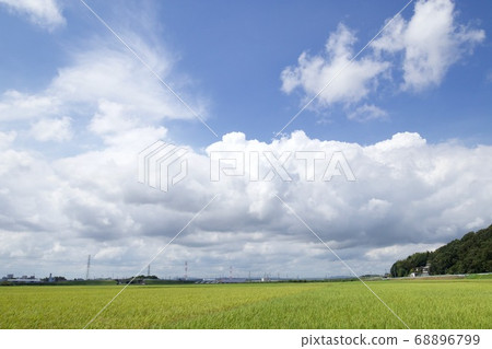 茨城縣Inasaku Hitachinaka市 茨城縣Inasaku Hitachinaka市 68896799