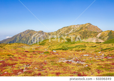 初秋的立山黑部阿爾卑斯山脈路線,秋葉室平 初秋的立山黑部阿爾卑斯山脈路線,秋葉室平 68896849