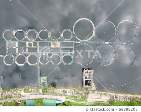 Aerial wide angle view to the landscape with calm waves and salmon fish industry farm circle fences above the water surface. Fish farming or pisciculture concept 4K footage Aerial wide angle view to the landscape with calm waves and salmon fish industry farm circle fences above the water surface. Fish farming or pisciculture concept 4K footage 68898203