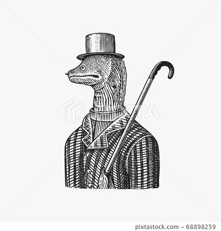 Muraena eels gentleman in a hat and suit with a cane. Fashion Animal character. Sea creature. Hand Muraena eels gentleman in a hat and suit with a cane. Fashion Animal character. Sea creature. Hand 68898259