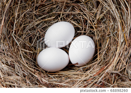 White chicken eggs in a straw nest 68898260