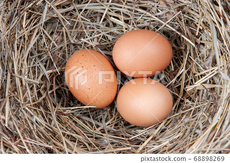 Brown chicken eggs in a straw nest Brown chicken eggs in a straw nest 68898269