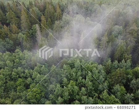 top view of a burning green forest, aerial photo top view of a burning green forest, aerial photo 68898271