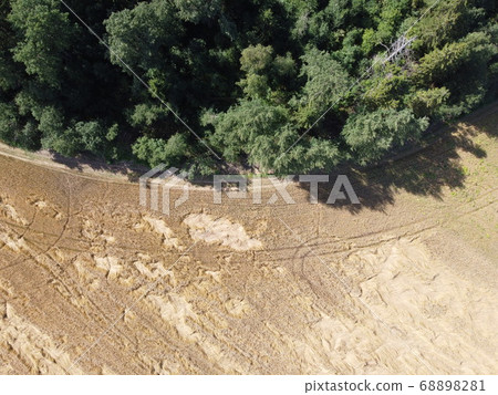 rye field aerial photo top view rye field aerial photo top view 68898281
