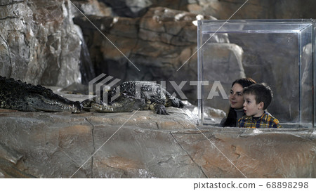 people look at crocodiles in a large oceanarium people look at crocodiles in a large oceanarium 68898298