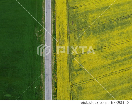 Aerial view rapeseed blooming. Yellow fields from above. Aerial view rapeseed blooming. Yellow fields from above. 68898330