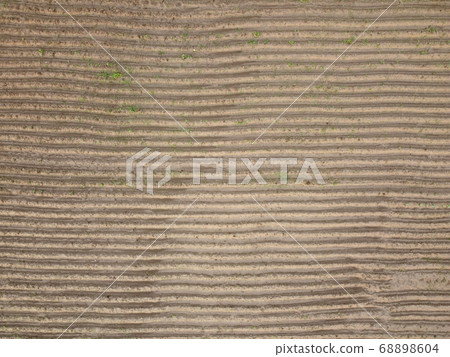 Aerial view of field stubble from drone  68898604