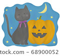 Black cat and pumpkin 68900052