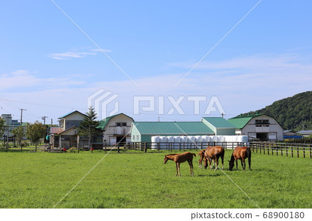 北海道日高地區的一個農場風景 北海道日高地區的一個農場風景 68900180