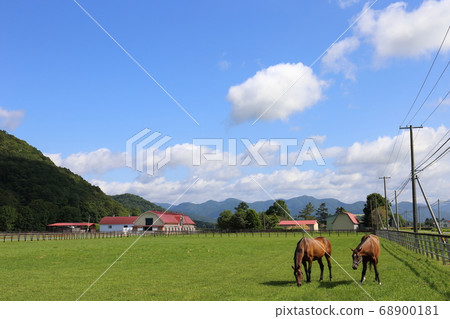 北海道日高地區的一個農場風景 北海道日高地區的一個農場風景 68900181