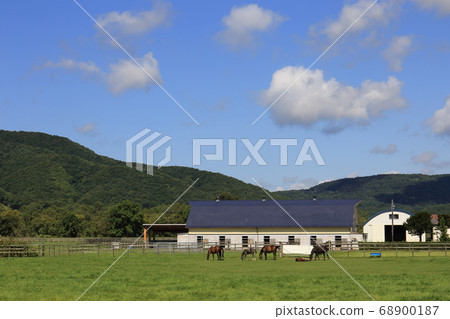 北海道日高地區的一個農場風景 北海道日高地區的一個農場風景 68900187