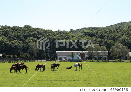 北海道日高地區的一個農場風景 北海道日高地區的一個農場風景 68900188