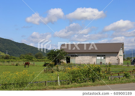 北海道日高地區的一個農場風景 68900189
