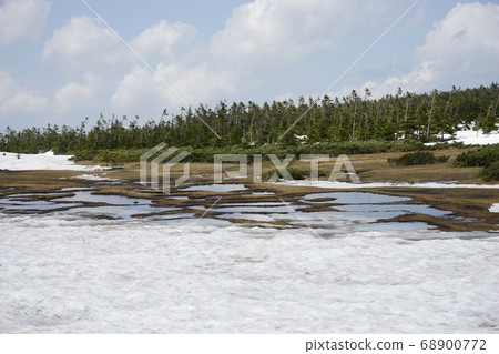 Let's go to spring Hachimantai, around Hachimanuma Let's go to spring Hachimantai, around Hachimanuma 68900772