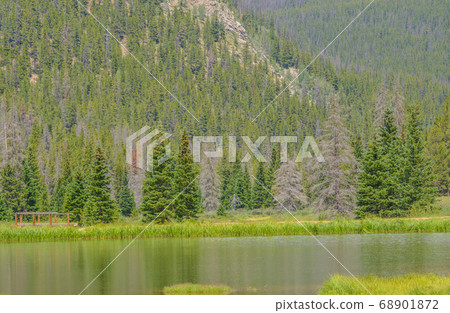 Beautiful mountains, forest and landscape near Monarch Pass in the Rocky Mountains of Colorado  68901872