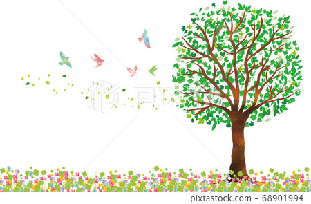 Tree: Tree Branch Nature Green Leaf Fresh Green Sprout Early Summer Summer Spring Eco Green 68901994