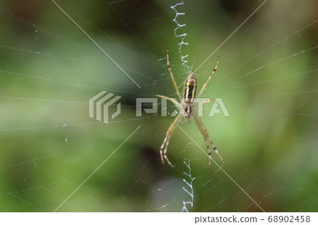 Kashihara Mire Kashihara Mire 68902458