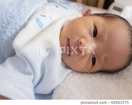 Cute newborn baby 13 days old 68903375