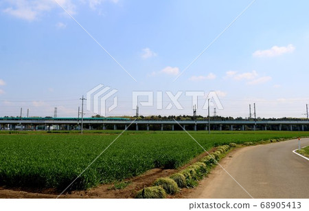 麥田和藍天春日高架線農村 68905413