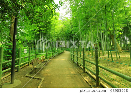 Suzume no Yado Ryokuchi Park Bamboo Forest 68905938