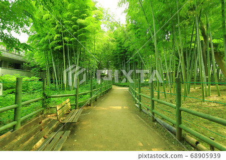 Suzume no Yado Ryokuchi Park Bamboo Forest 68905939