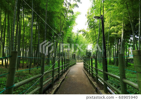 鈴木之宿琉球公園竹林 鈴木之宿琉球公園竹林 68905940