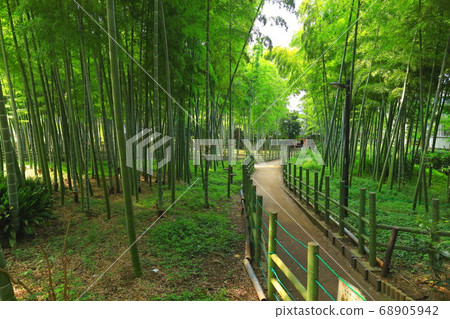 Suzume no Yado Ryokuchi Park Bamboo Forest 68905942