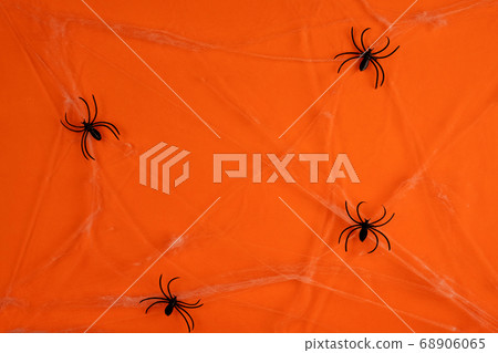 Little toys bats on dry tree branch with spider net for Halloween Little toys bats on dry tree branch with spider net for Halloween 68906065