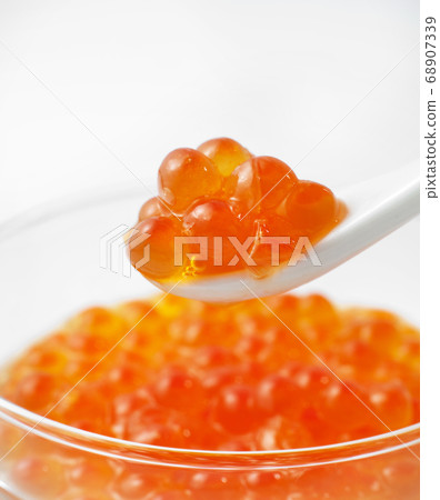 多少 多少 68907339