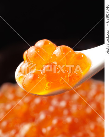 多少 多少 68907340