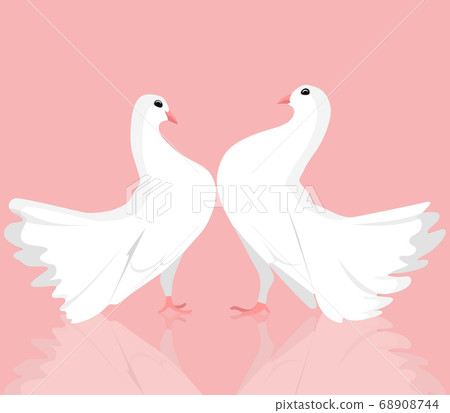 Illustration of pair of white doves. 68908744