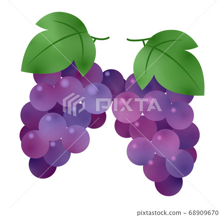 Grape  68909670