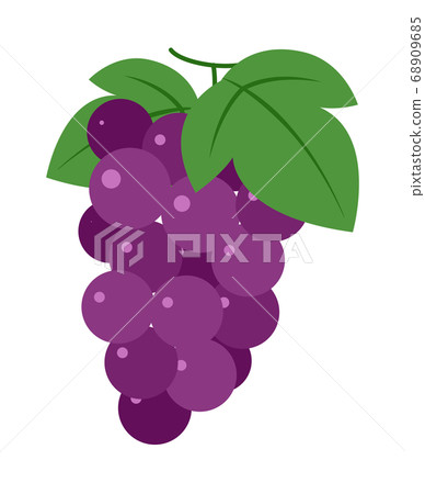 Grape Grape 68909685
