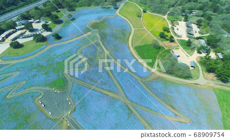 從上方拍攝的“國立日立海濱公園” 68909754