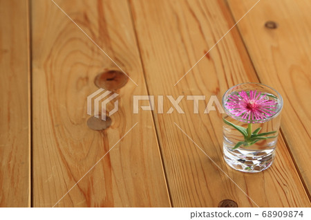 水下鮮花 68909874