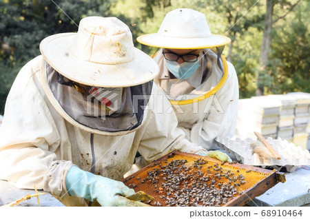 Beekeeper on apiary. Beekeeper is working with bees and beehives on the apiary. Beekeeper on apiary. Beekeeper is working with bees and beehives on the apiary. 68910464