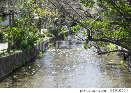 Canal flowing through the trees Canal flowing through the trees 68910934