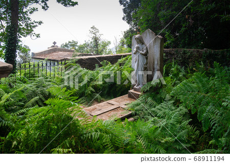 grave with ferns grave with ferns 68911194