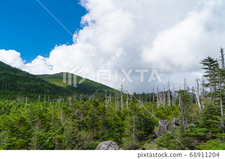 Nakagiba (observation deck between Makusa Pass and Mt. Chausu) (Yatsugatake) Nakagiba (observation deck between Makusa Pass and Mt. Chausu) (Yatsugatake) 68911204