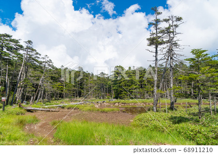 Makusa Pass(八岳)的Chasui池塘 Makusa Pass(八岳)的Chasui池塘 68911210