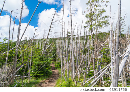 從Chausu山到Shirakari山（八岳）的山路 68911766
