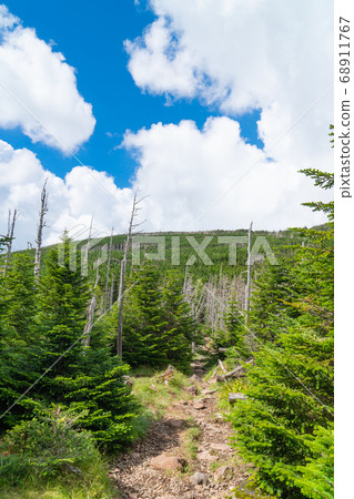 從Chausu山到Shirakari山(八岳)的山路 從Chausu山到Shirakari山(八岳)的山路 68911767