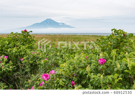 Rishiri Island Rishiri Island 68912530