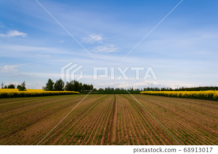 Cultivation of agricultural crops 68913017