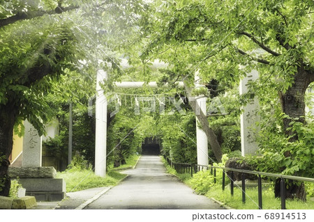 Torii Torii 68914513