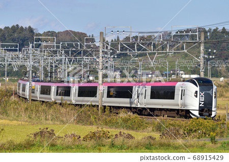 Sobu Main Line Sakura-Monoi JR East E259 Series Ne016 formation (Kamakura) Narita Express 68915429