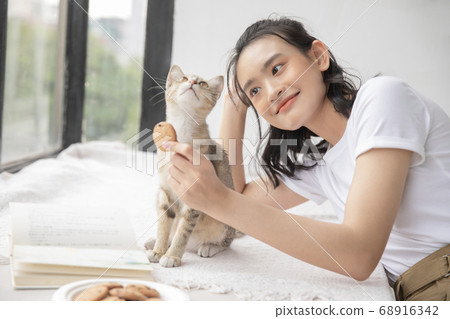 Female lifestyle cat relaxing Female lifestyle cat relaxing 68916342