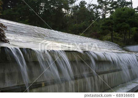 Sea Hyanggi Arboretum 68916603