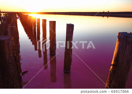 pink salt lake 68917866