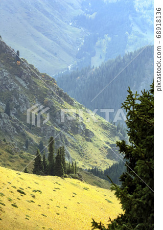 Autumn landscape in the mountain Asian taiga 68918136